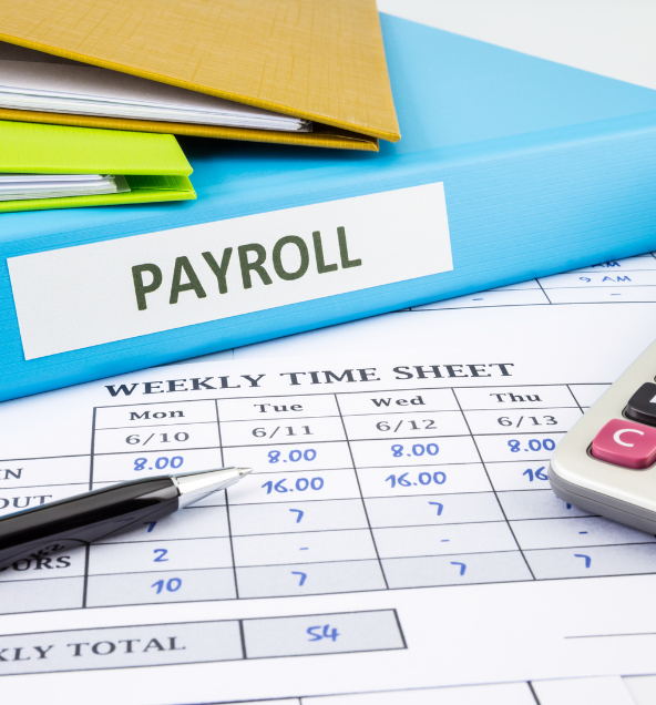 Dynamic-payroll-calculator-1