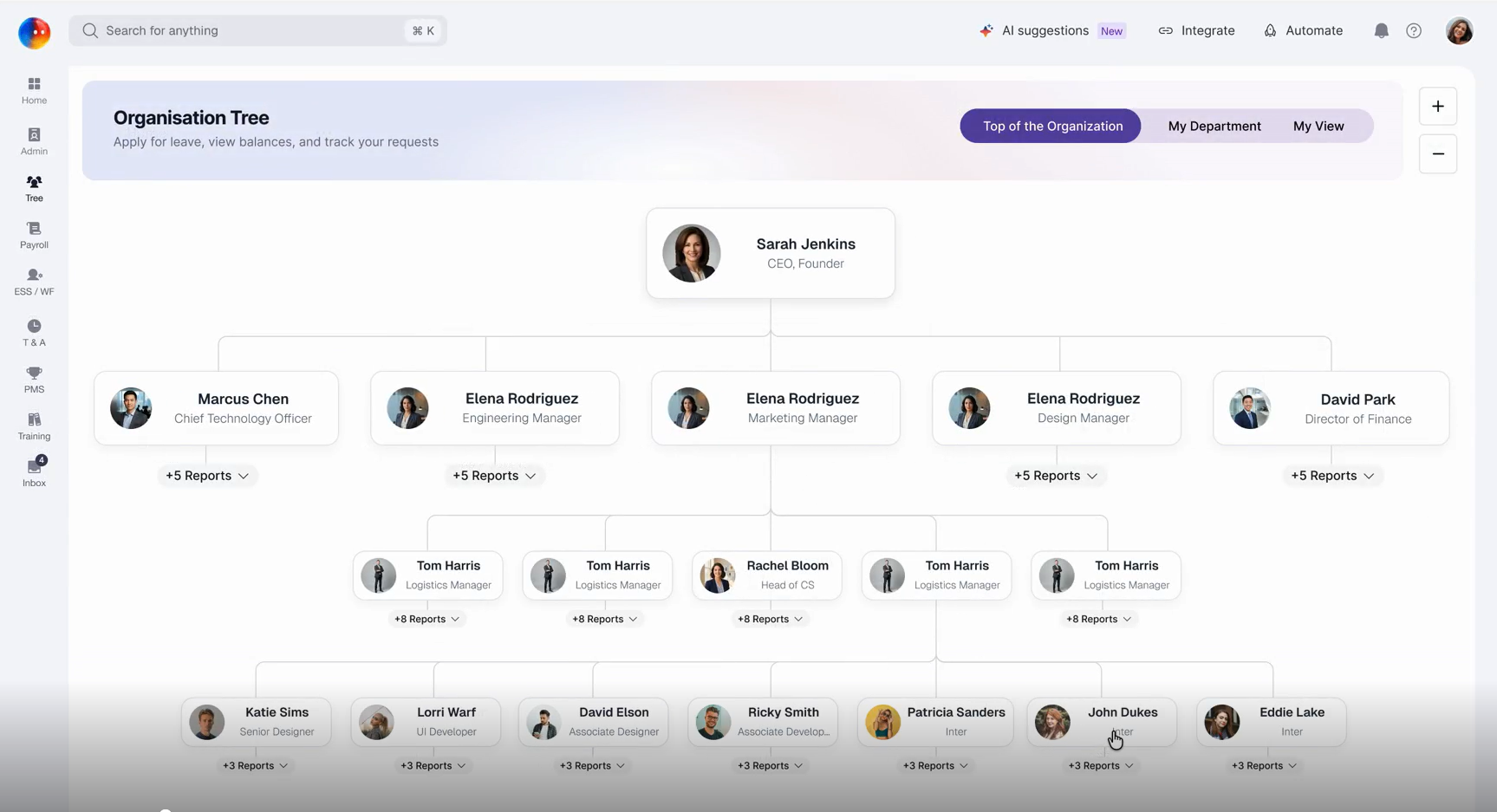 Organization Chart Dashboard